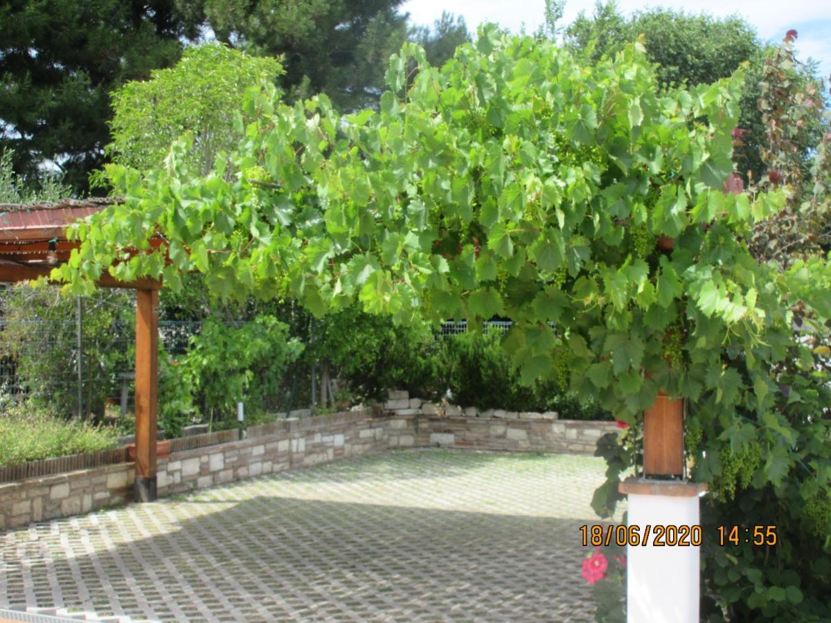 B&B Capo Le Vigne 锡罗洛 外观 照片
